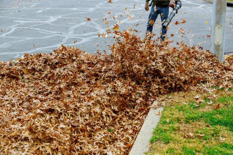 Leaf Blowing