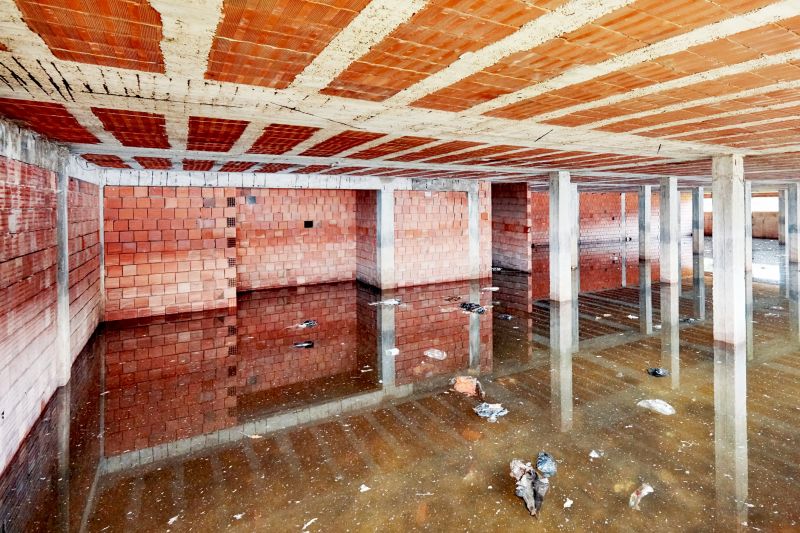 Crawlspace Water Cleanup