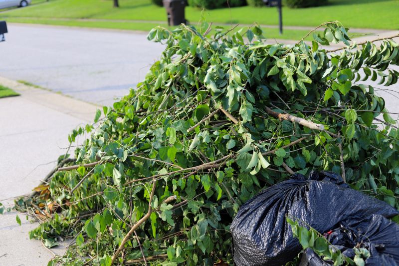 Proper Tree Disposal